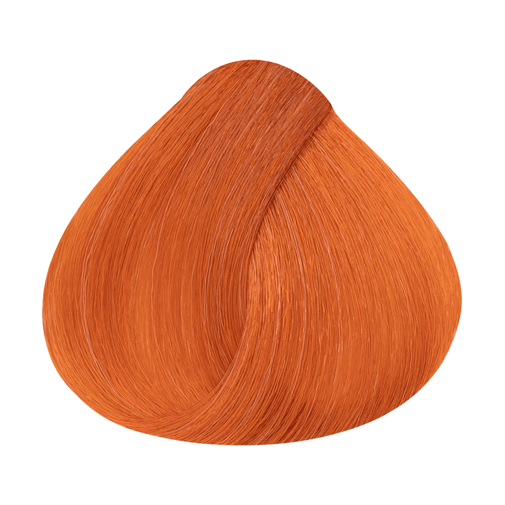 Akeneo PF019815 — APMP_ColorWear_2025_PF019815_02