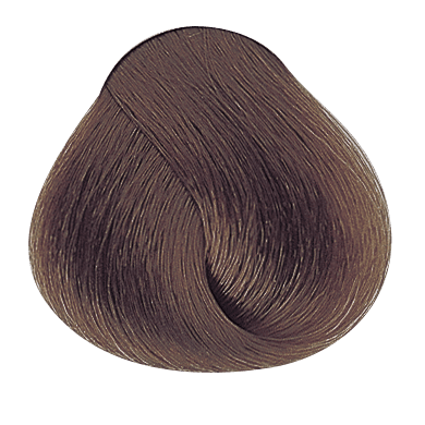 Akeneo PF005959 — Evolution_of_the_color_Chestnut_Light_Golden_Violet_Blonde_PF005959_Alfaparf_Milano_ciocca_02