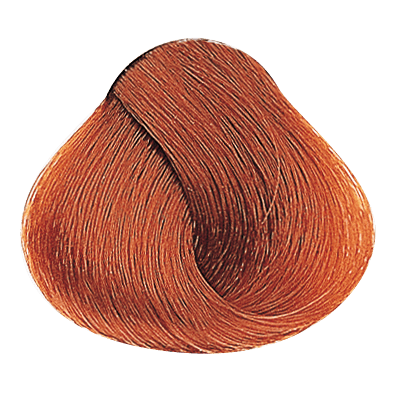 Akeneo PF005982 — Evolution_of_the_color_Copper_Light_Copper_Blonde_PF005982_Alfaparf_Milano_ciocca_02