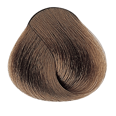 Akeneo PF005779 — Evolution_of_the_color_Naturals_Light_Warm_Natural_Blonde_PF005779_Alfaparf_Milano_ciocca_02