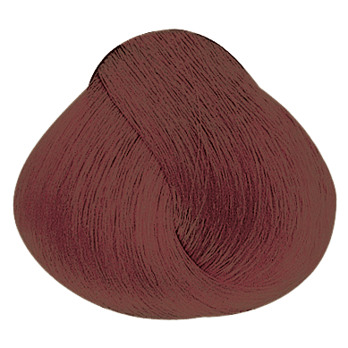 Akeneo PF018558 — Evolution_of_the_color_Ruby_Brown_Metallic_Ruby_Brown_PF018558_Alfaparf_Milano_02