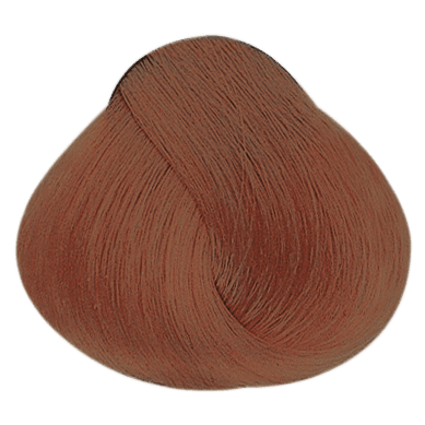 Akeneo PF018559 — Evolution_of_the_color_Ruby_Brown_Metallic_Ruby_Brown_PF018559_Alfaparf_Milano_ciocca_02