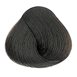 Asch - 6.1 Dunkelblond Asch