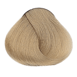Beige - 10.31 Lightest Golden Ash Blonde