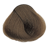 Beige - 7.31 Medium Golden Ash Blonde