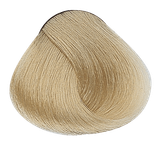 Cool Naturals - 10 Lightest Natural Blonde