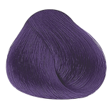 Correctors - 2000 Violet