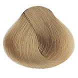 Warm Naturals - 10NB Lightest Warm Natural Blonde