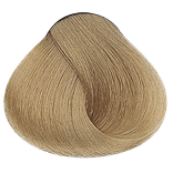 Warm Naturals - 9NB Very Light Warm Natural Blonde