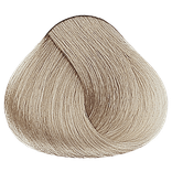 Cool Browns - 10.1 Lightest Ash Blonde