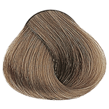 Cool Browns - 8.1 Light Ash Blonde