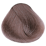 Cool Browns - 8.21 Light Violet Ash Blonde