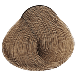 Naturals - 8 Light Natural Blonde