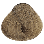 Cool Naturals - 8NF Light Cool Natural Brown